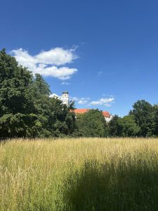 Dillingen 0