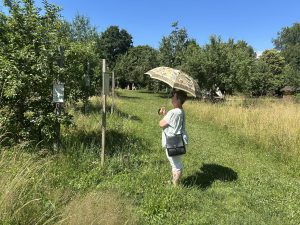 Heiße Sache: Gartenbauverein auf Sommertour in Dillingen