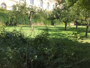Schlossgarten 1