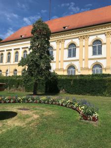 Schlossgarten 6