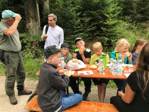 wald 13