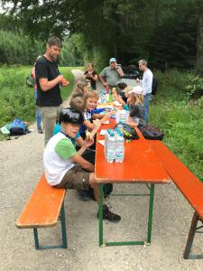 wald 14